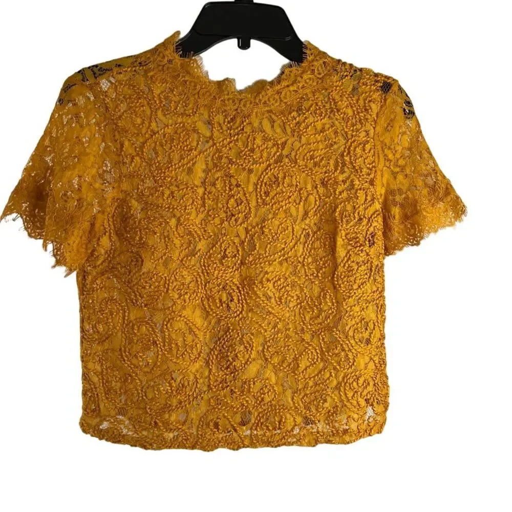 Zara NWT Sheer Lace Embroidered Short Sleeve Crop Top Sz Small Fairy Core